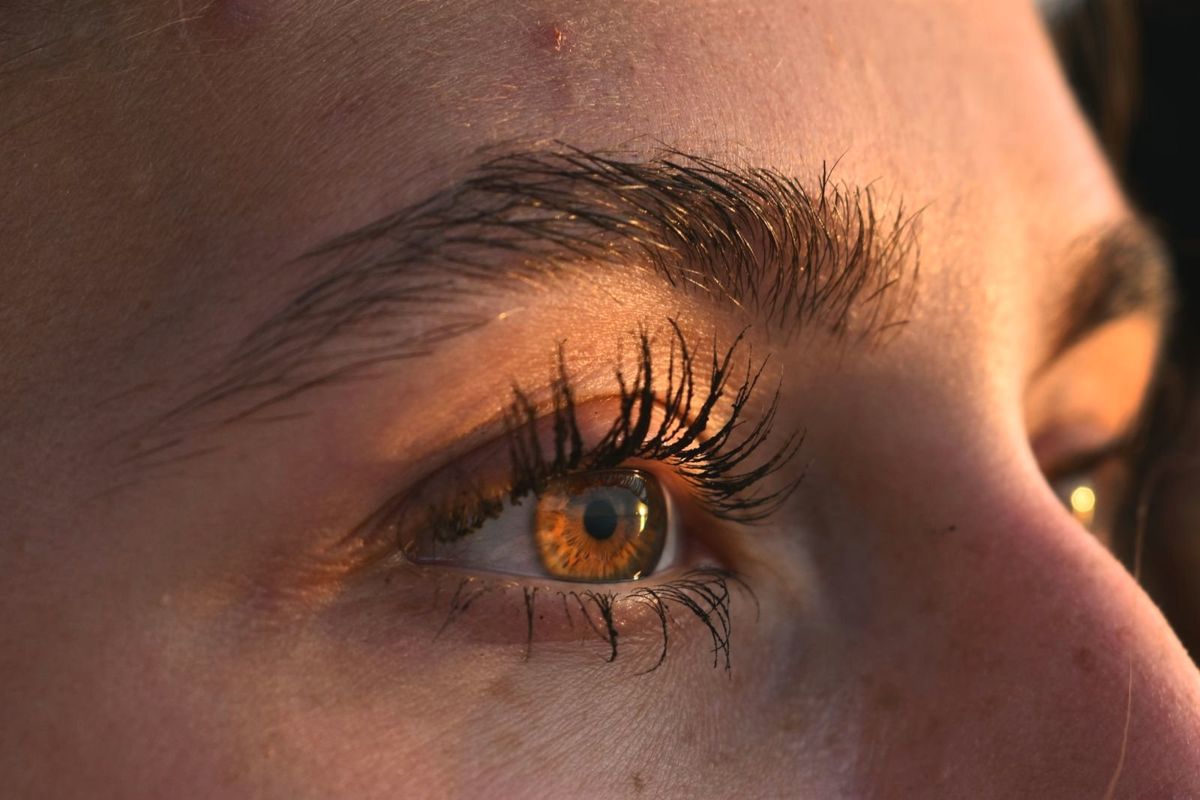 Auge mit geschwungenen Wimpern und Augenbraue im warmen Licht (Symbolbild)